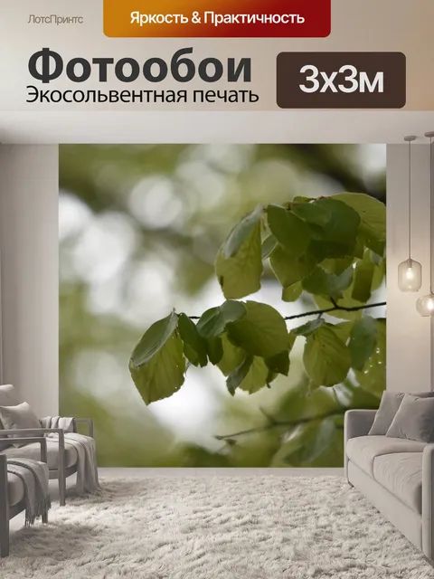 Фотообои Листья