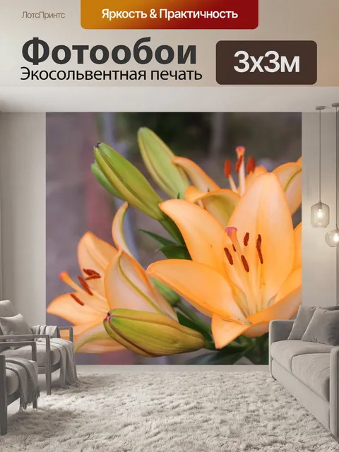 Фотообои Лили