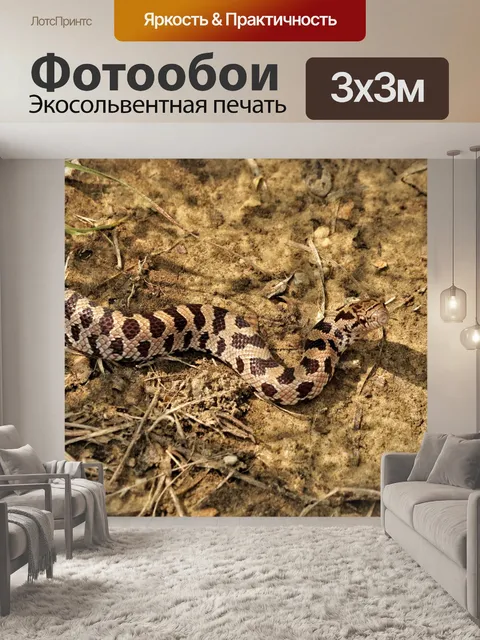 Фотообои Король прерий Змея