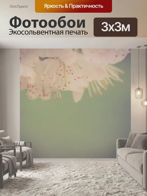 Фотообои белые вишневые цветы