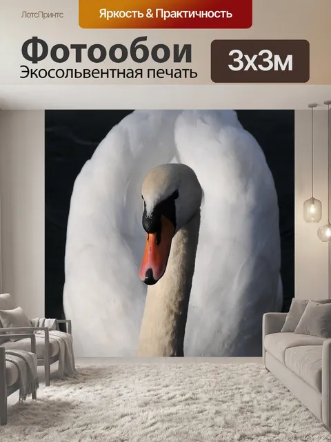 Фотообои Лебедь