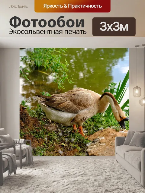 Фотообои Гусь