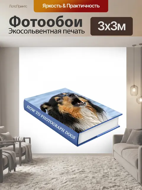 Фотообои Книга изолированных белый фон