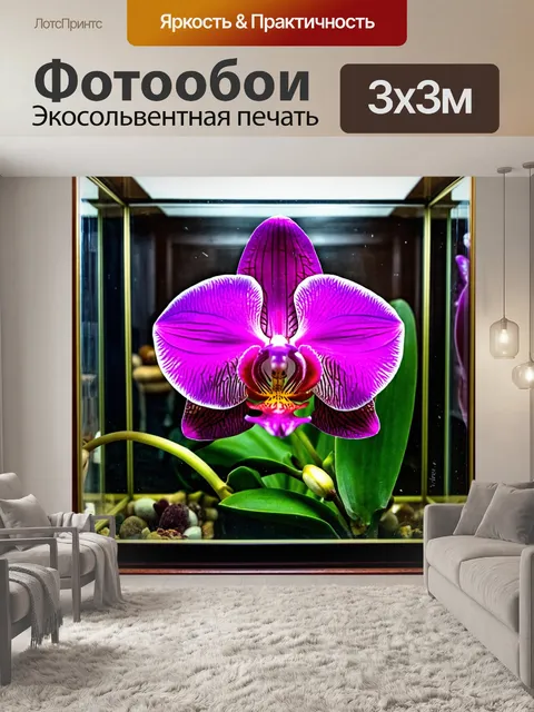 Фотообои орхидея в стеклянной упаковке, как произведение искусства