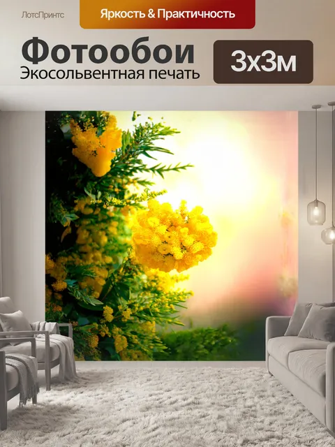 Фотообои мимоза, яркий жёлтый цветок, растущий на нежной зелёной листве под солнечными лучами, создаёт атмосферу…