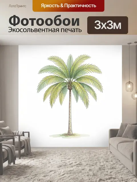 Фотообои Тропическая пальма на белом фоне