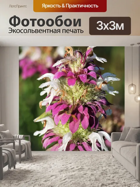 Фотообои Фиолетовая полевая мята