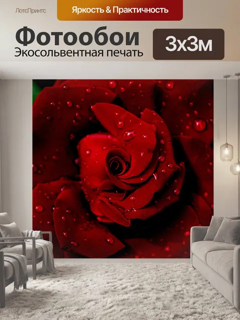Фотообои Роза