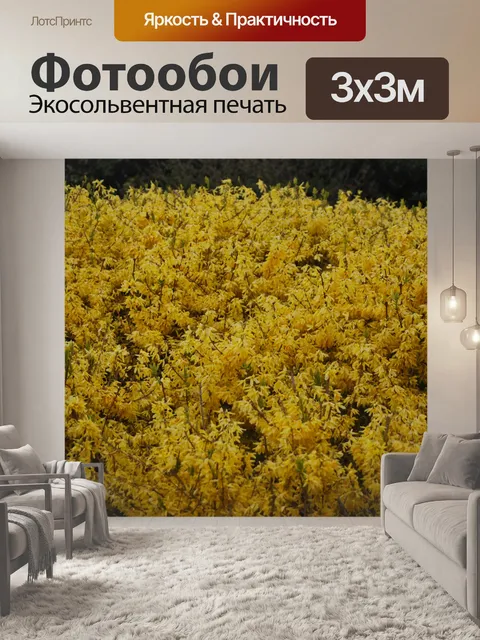 Фотообои Форсития Буша