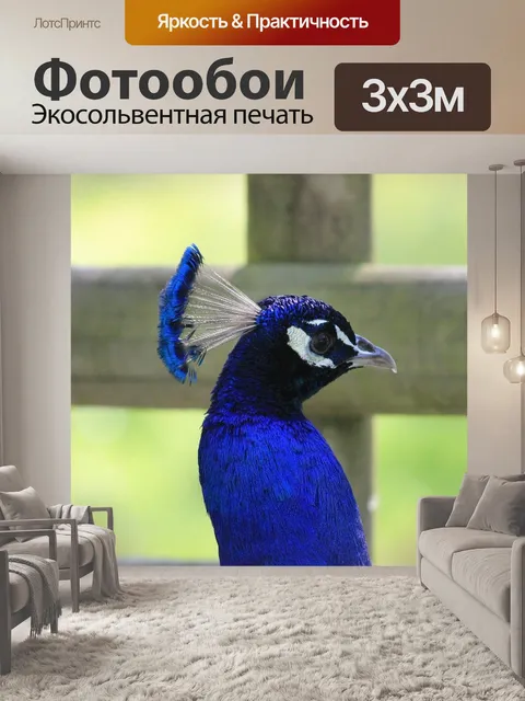 Фотообои Павлин