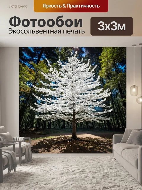 Фотообои белое дерево в густом лесу с солнечными лучами