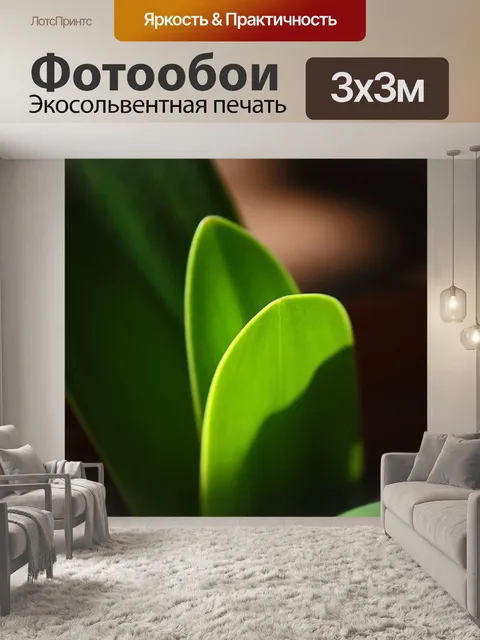 Фотообои кончики широких длинных зеленых листьев