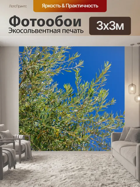 Фотообои оливковое дерево и голубое небо