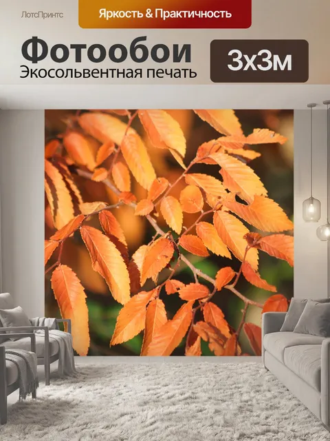 Фотообои Осенние листья японского вяза