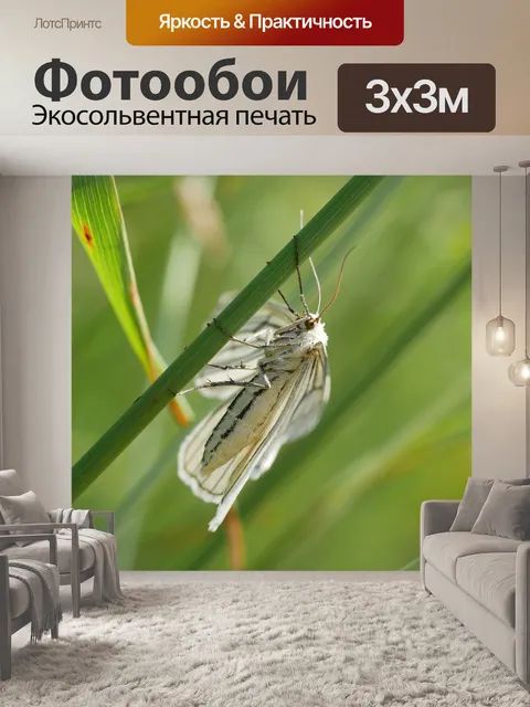 Фотообои Макрос