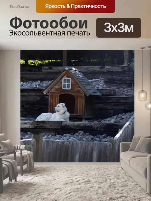 Фотообои Собака и Собачья будка