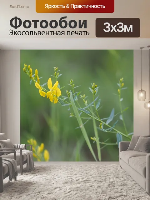 Фотообои Цветок