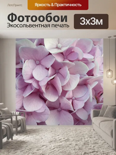 Фотообои Гортензия