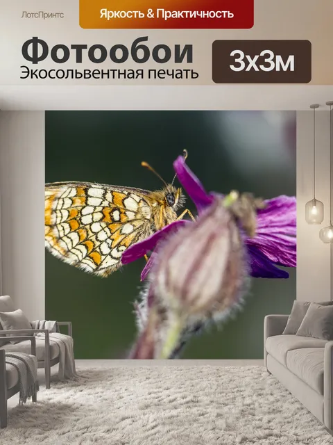 Фотообои Маленькая жемчужина-граничит рябчик
