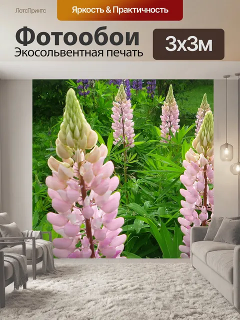 Фотообои Розовый Люпины
