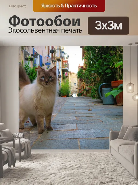 Фотообои Кошки