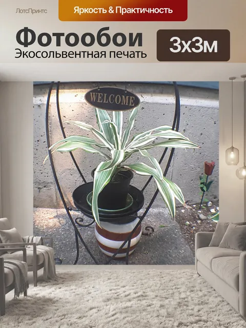 Фотообои Знак приветствия