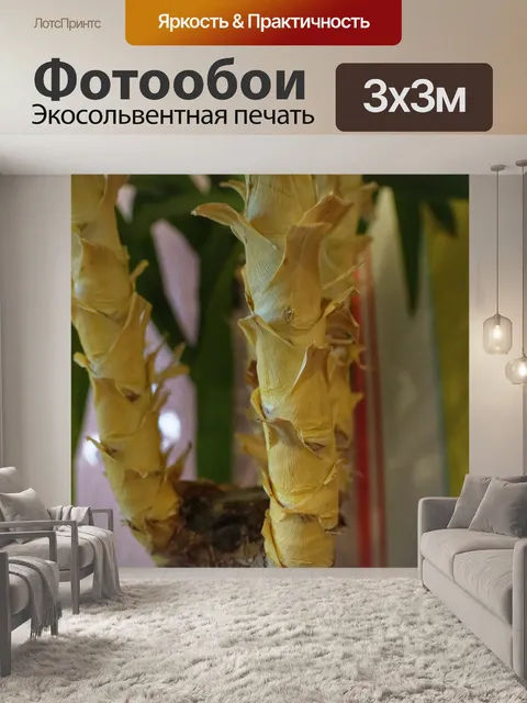 Фотообои Пальма
