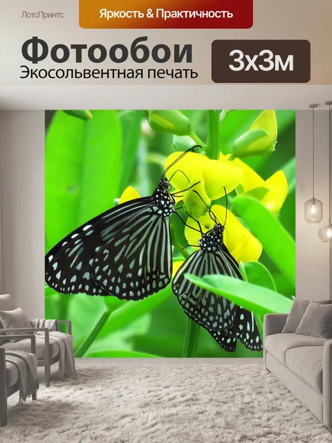 Фотообои Любовь