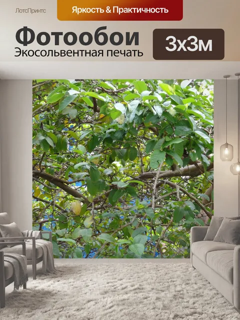 Фотообои Многие листья на дереве