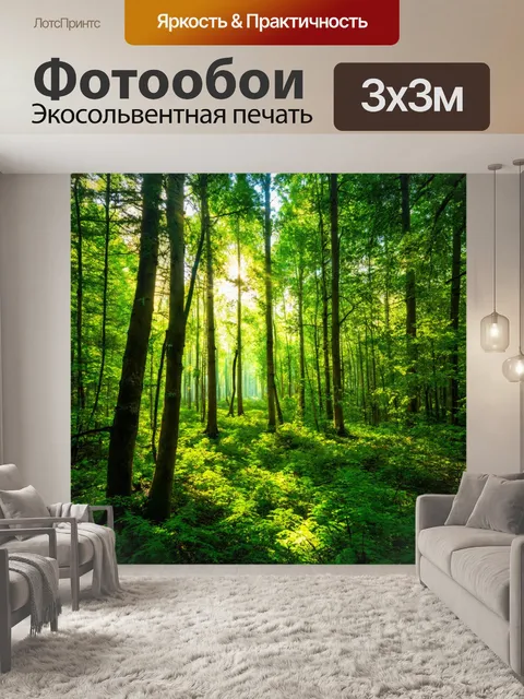 Фотообои летний лес с ярким зелёным покровом, пробуждающимся к жизни с первыми лучами солнца