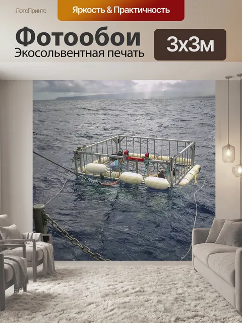 Фотообои Клетка просмотра акулы