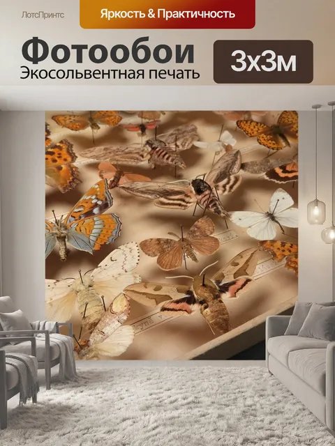 Фотообои Коллекция бабочек