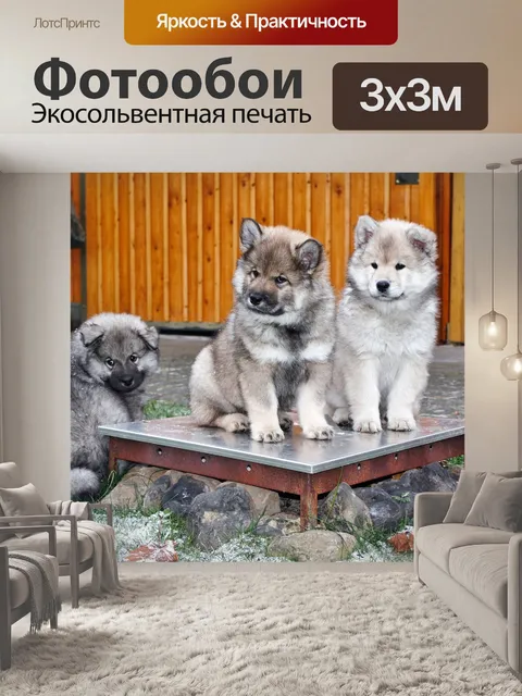Фотообои Млекопитающее