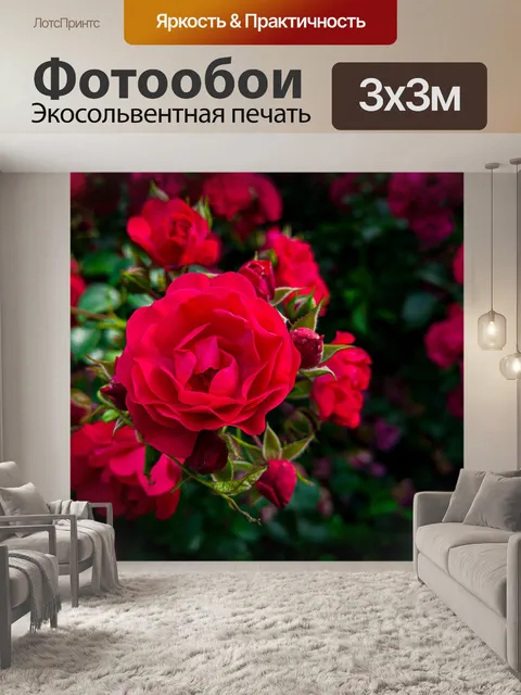 Фотообои Розы