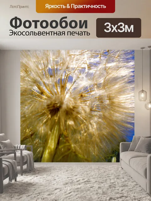 Фотообои Макрос одуванчика
