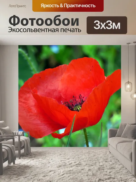 Фотообои Цветок