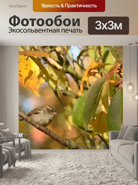 Фотообои Воробей