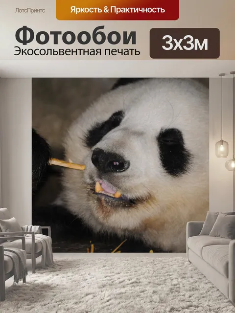 Фотообои Панда Смотрим Bamboo