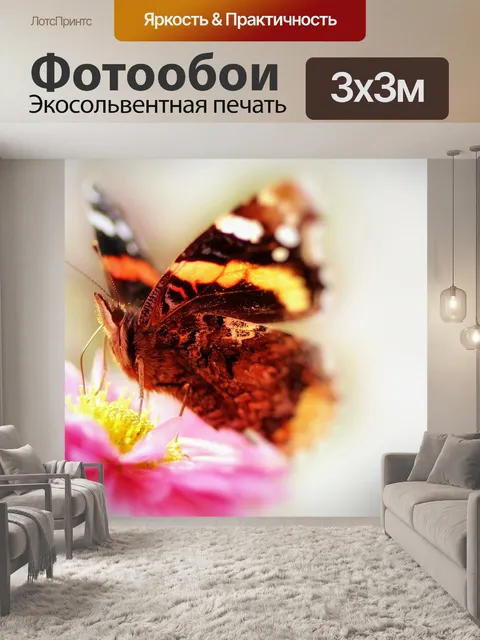 Фотообои Бабочка