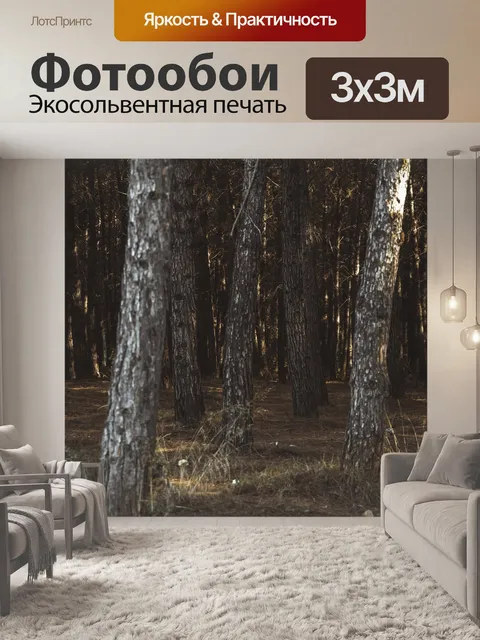 Фотообои Лес