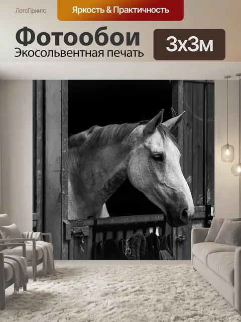 Фотообои Конный спорт