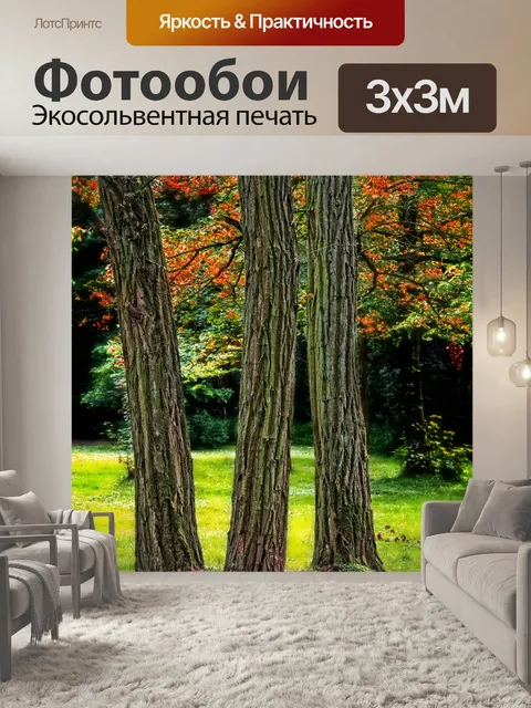 Фотообои Деревья осенняя листва лес
