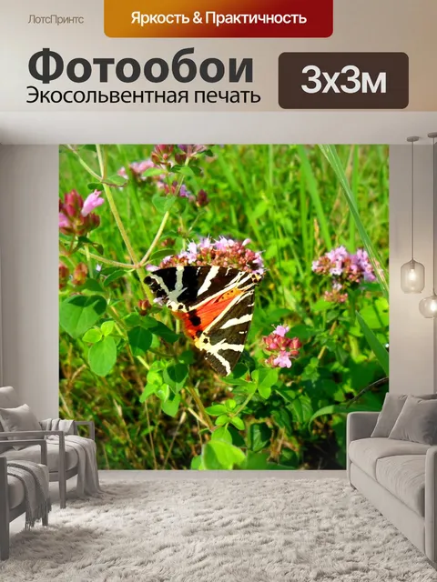 Фотообои Русский медведь