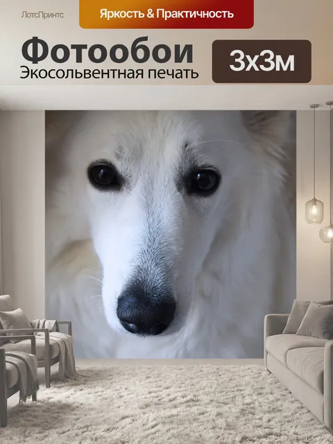 Фотообои Собака