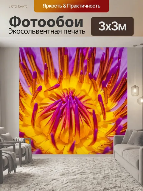 Фотообои Красивый цветок лотоса кувшинки