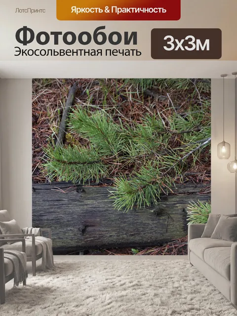 Фотообои Ветви сосны над бревном