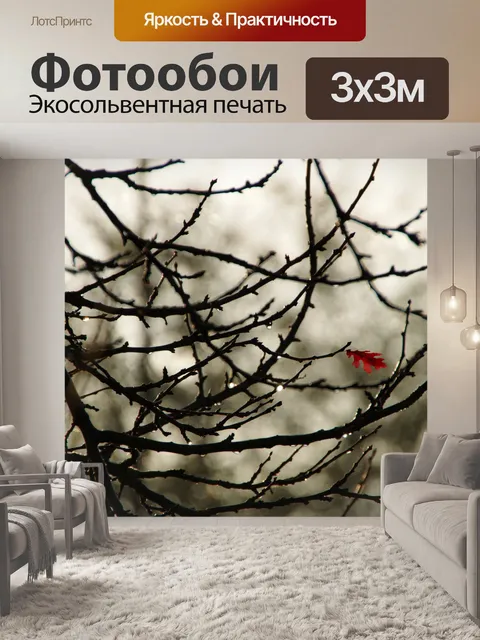 Фотообои Один осенний лист
