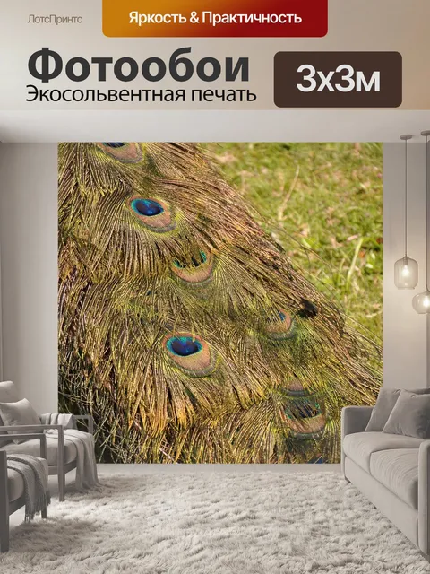 Фотообои Павлин