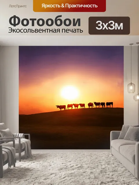 Фотообои на закате, когда солнце медленно опускается за горизонт, стадо коров собирается на высоком холме, омываемом…