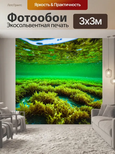 Фотообои зеленые в стиле кинематографический, где свет играет на поверхности воды среди водорослей